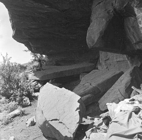 Open original Digital object