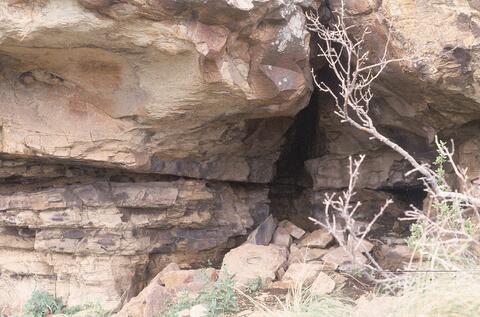 Open original Digital object