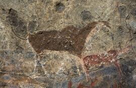 RSA PRY1 29
