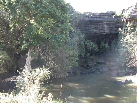 Open original Digital object