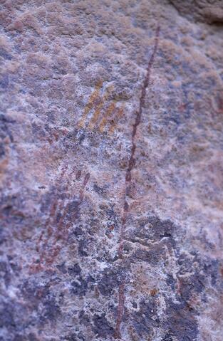 Open original Digitaal object