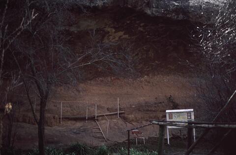 Open original Digital object