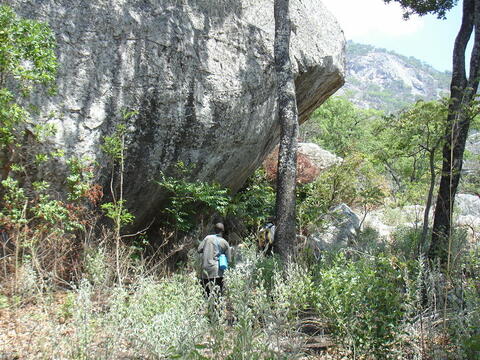 Open original Digital object