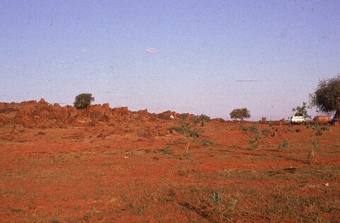 Open original Digital object