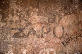 ZIM KUD1 4