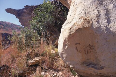 Open original Digital object