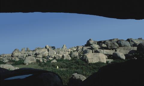 Open original Digital object