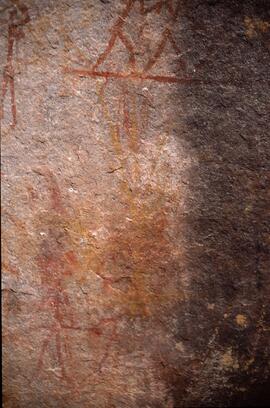 ZIM SHU1 10