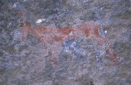 RARI RSA ROA1 37