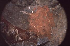 RARI RSA HAE1 42