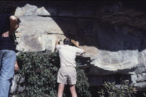 Open original Digital object