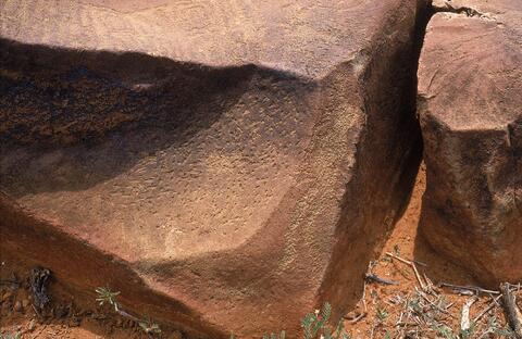 Open original Digital object