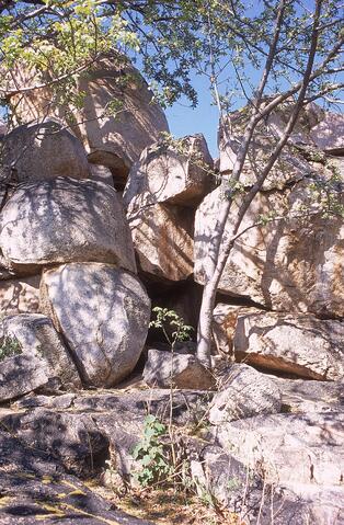 Open original Digital object