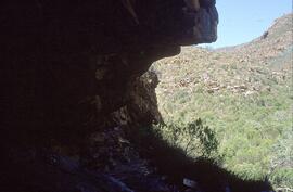 RSA NAR5 41