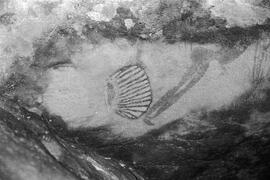 RSA NAR5 37P