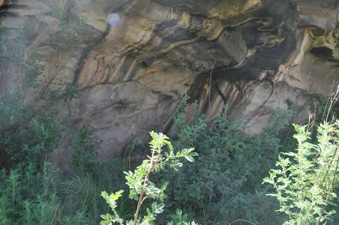 Open original Digital object