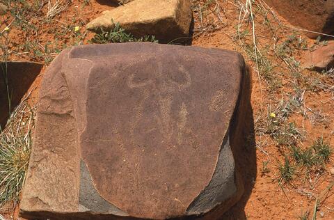 Open original Digitaal object