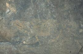 RARI RSA GQA11 32