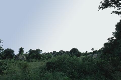 Open original Digital object