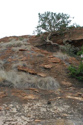 Open original Digitaal object