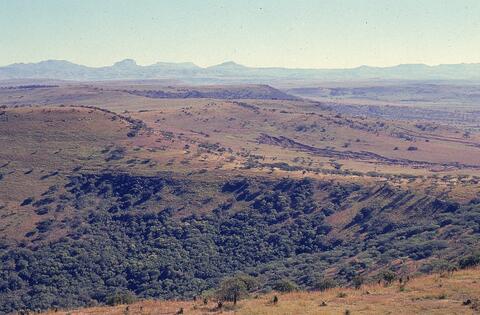 Open original Digitaal object