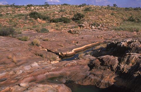 Open original Digitaal object