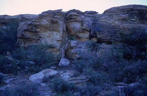 Open original Digital object