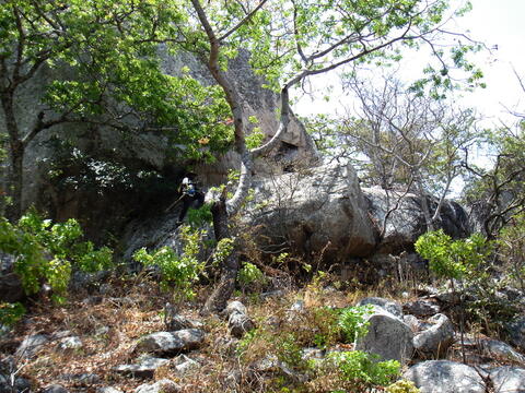 Open original Digital object