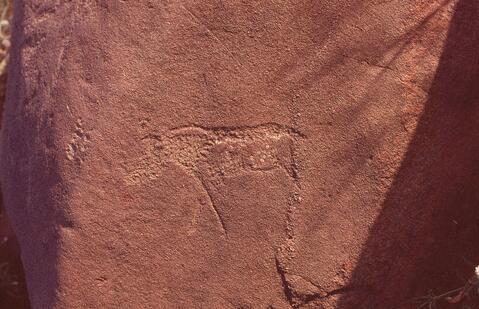 Open original Digital object