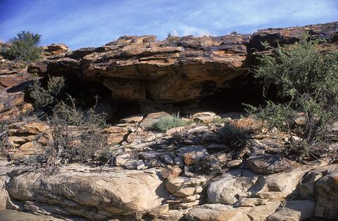 Open original Digital object