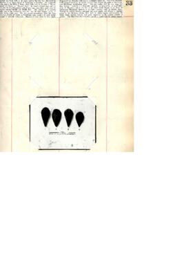 VRL CUT 034