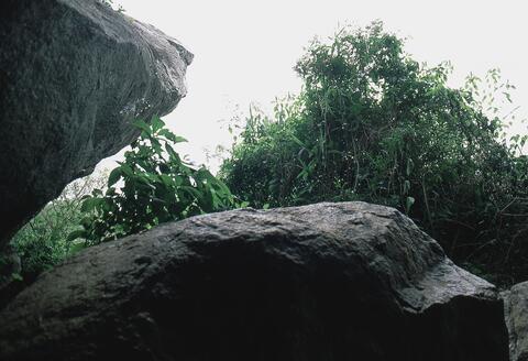 Open original Digital object