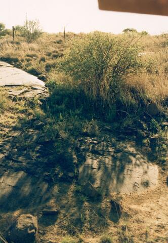 Open original Digitaal object