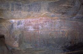 TAN CHK3 34
