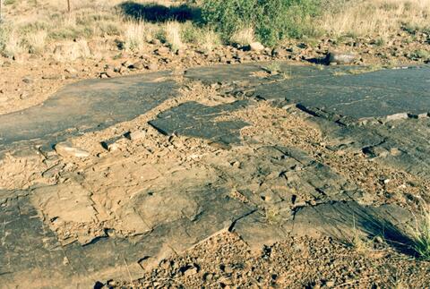 Open original Digital object