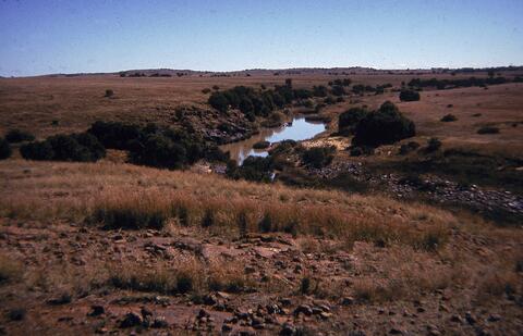 Open original Digitaal object