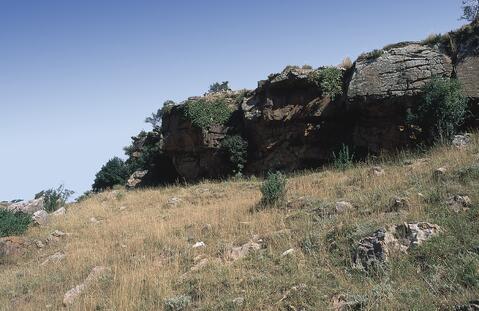 Open original Digital object