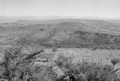 Open original Digitaal object