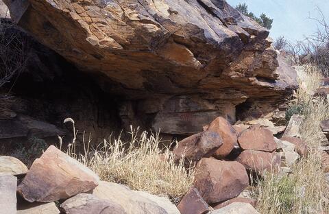 Open original Digital object