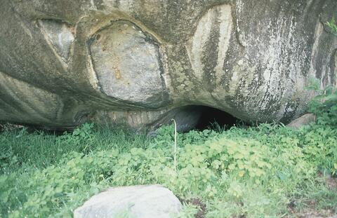 Open original Digital object