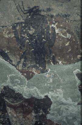 RSA TYN2 177