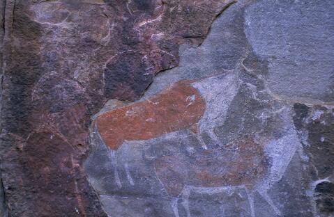 Open original Digital object