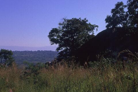 Open original Digital object