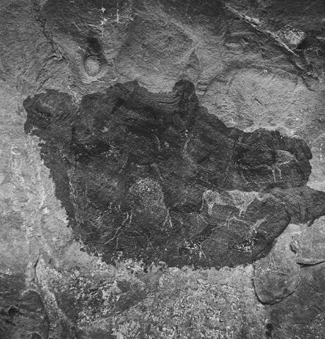 Open original Digitaal object