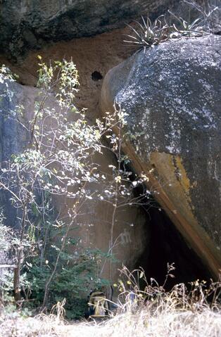 Open original Digital object