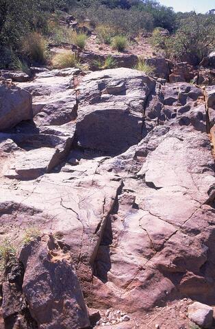 Open original Digitaal object