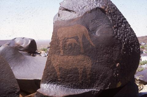 Open original Digitaal object