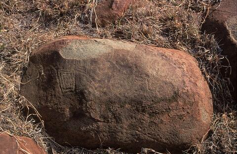 Open original Digital object