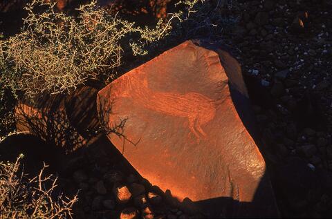 Open original Digital object