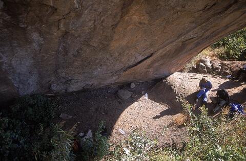 Open original Digital object